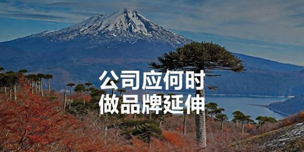 老板經(jīng)：小企業(yè)要小而精，大企業(yè)要多而雜